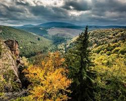 Nationalpark Harz